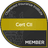 Cert CII Member - Chartered Insurance Institute