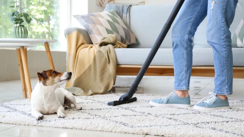 Does your home insurance cover pets?