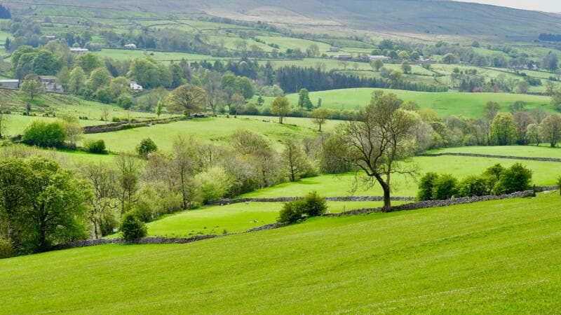 Rural prices outpace towns and cities